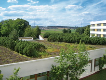 Sistemas de cubiertas ajardinadas techos verdes o green roofs